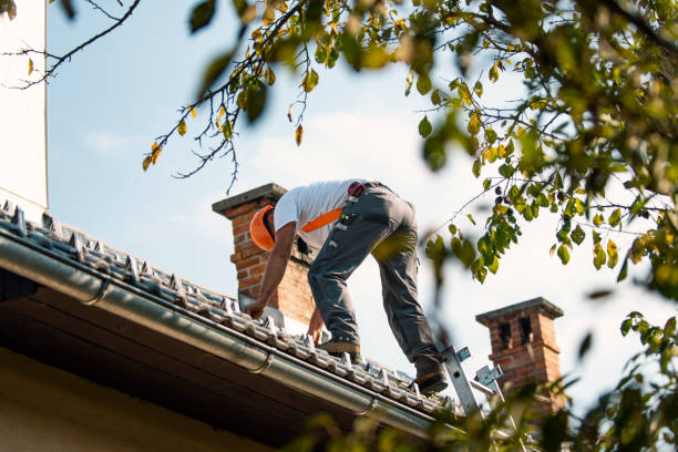 Best Metal Roofing Contractor  in New Baltimore, VA