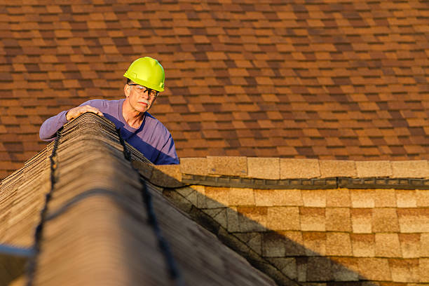 Best Roof Gutter Cleaning  in New Baltimore, VA